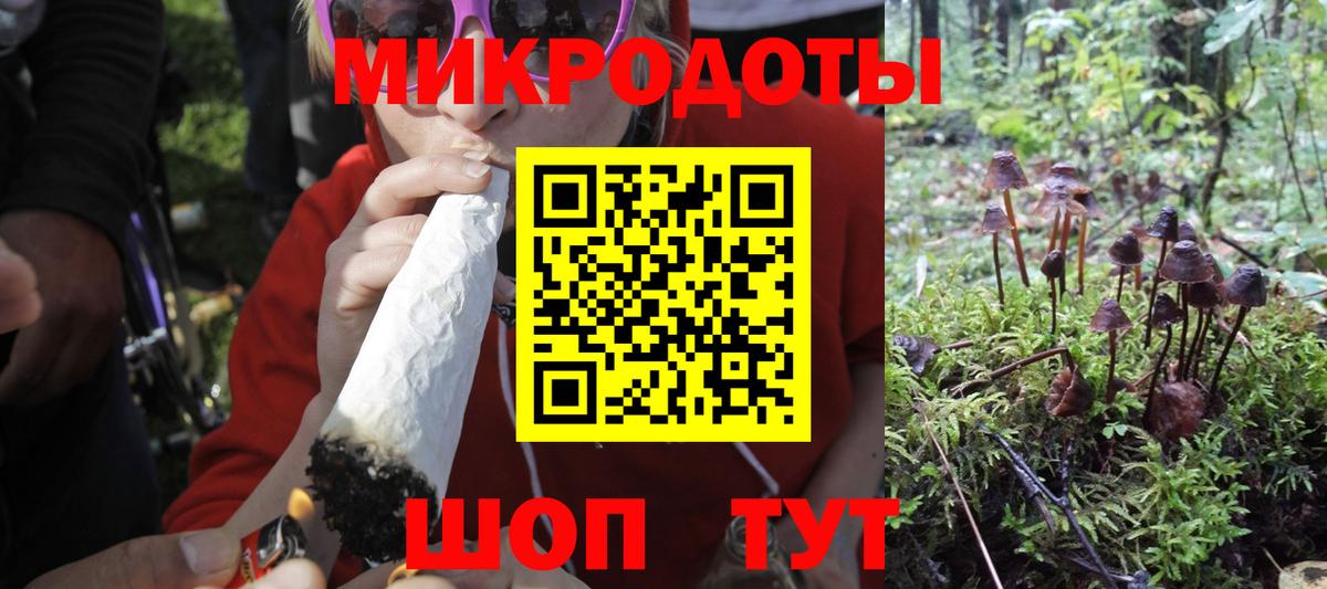 Псилоцибиновые грибы Psilocybe  Вход с VPN  Рыбинск  Галлюциногенные грибы Psilocybe 