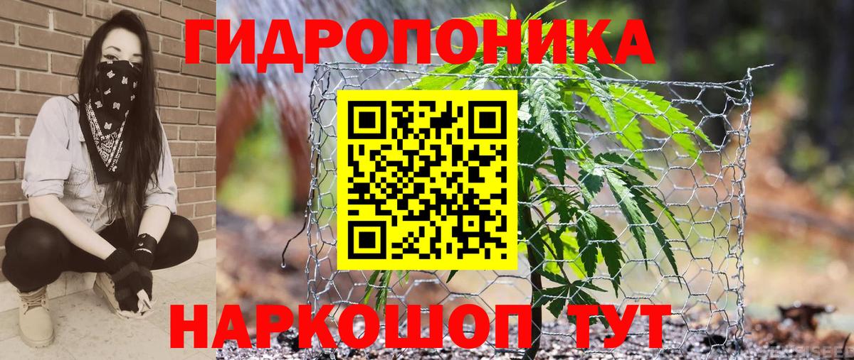 Бошки Шишки Bruce Banner Рыбинск